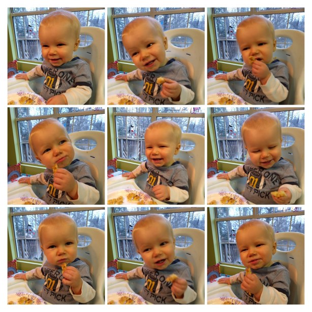 IMG_20160217_070930-COLLAGE