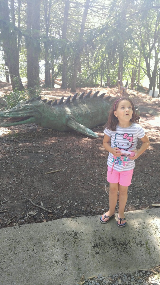 IMG_20160618_153446_01