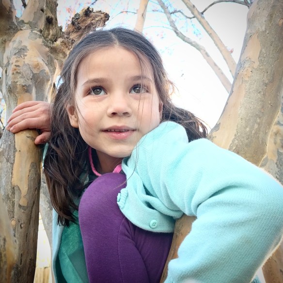 img_20170208_173957_365