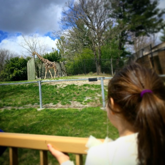 IMG_20170404_210701_702