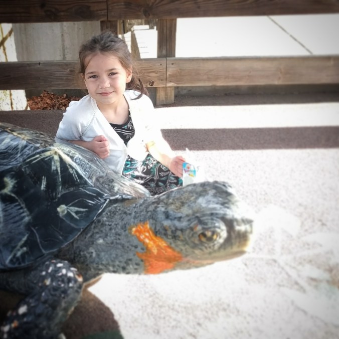 IMG_20170404_210804_656