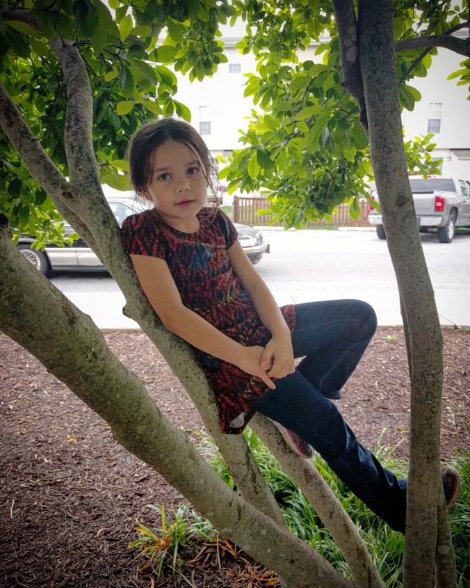 IMG_20170522_215242_322