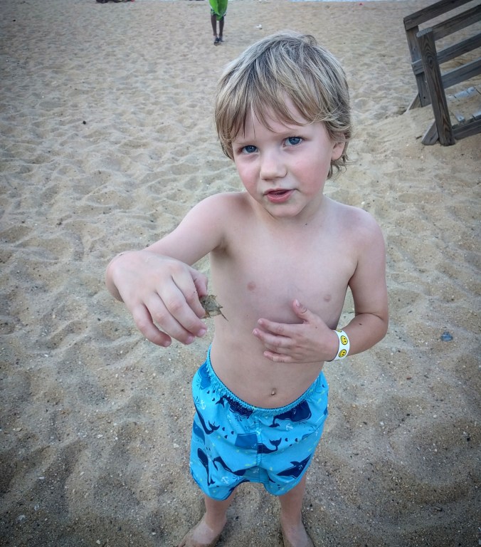 IMG_20170716_214257_535