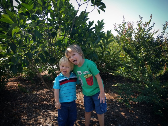 IMG_20170716_214509_114