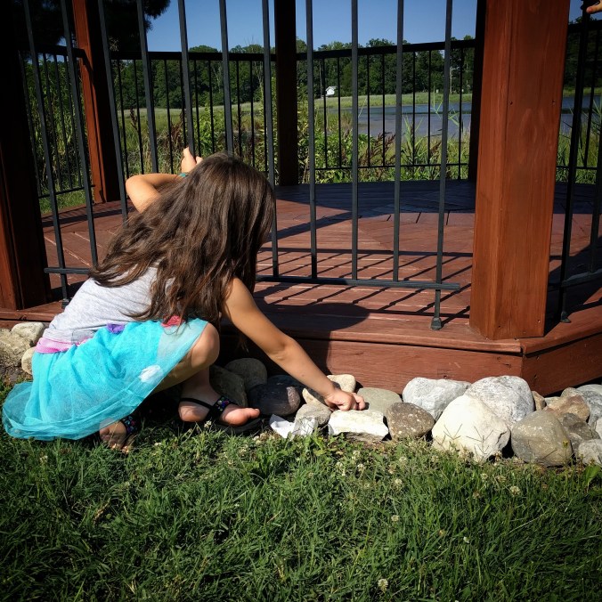 IMG_20170716_214622_257