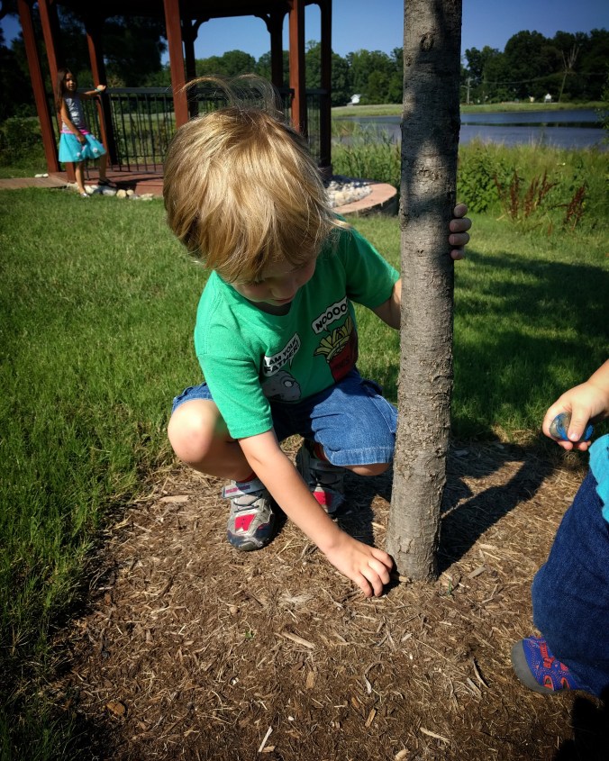 IMG_20170716_214658_873