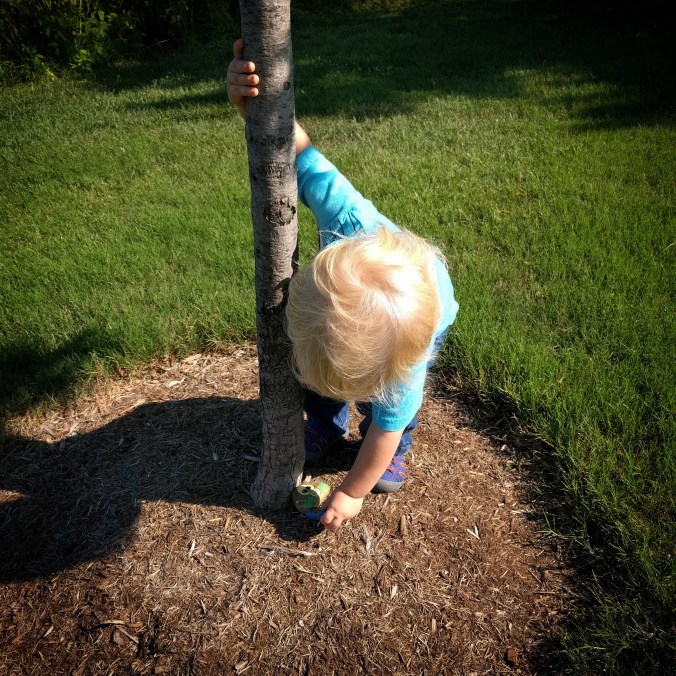 IMG_20170716_214728_543