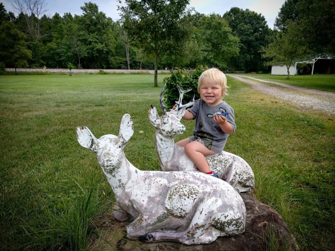 IMG_20170807_232241_734