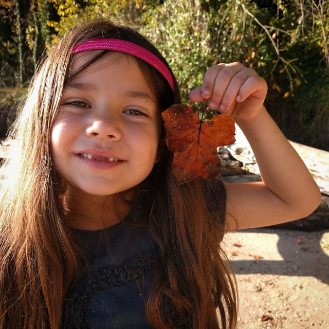 IMG_20171007_215205_503