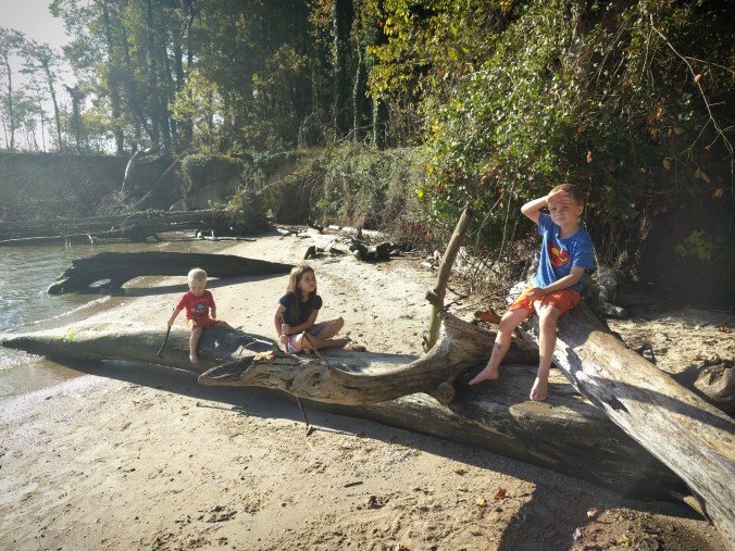 IMG_20171007_215307_690