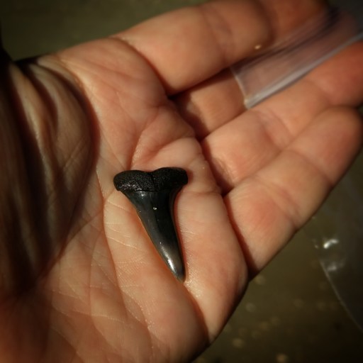 IMG_20171007_221840_012