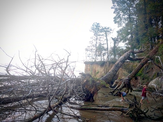 IMG_20171010_223621_483