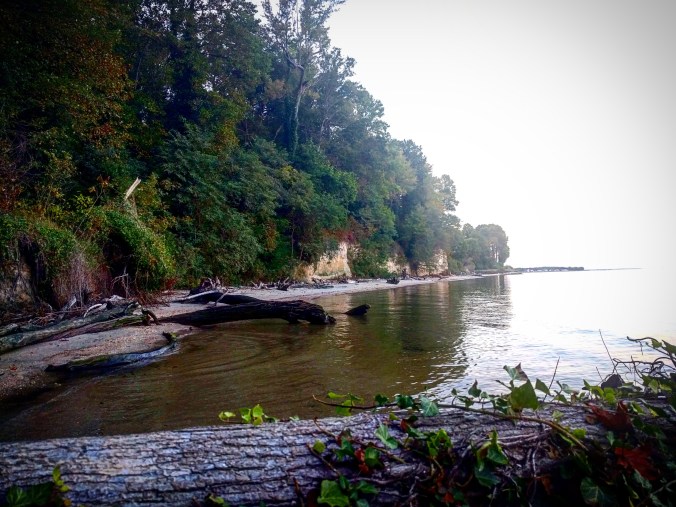 IMG_20171010_223702_518