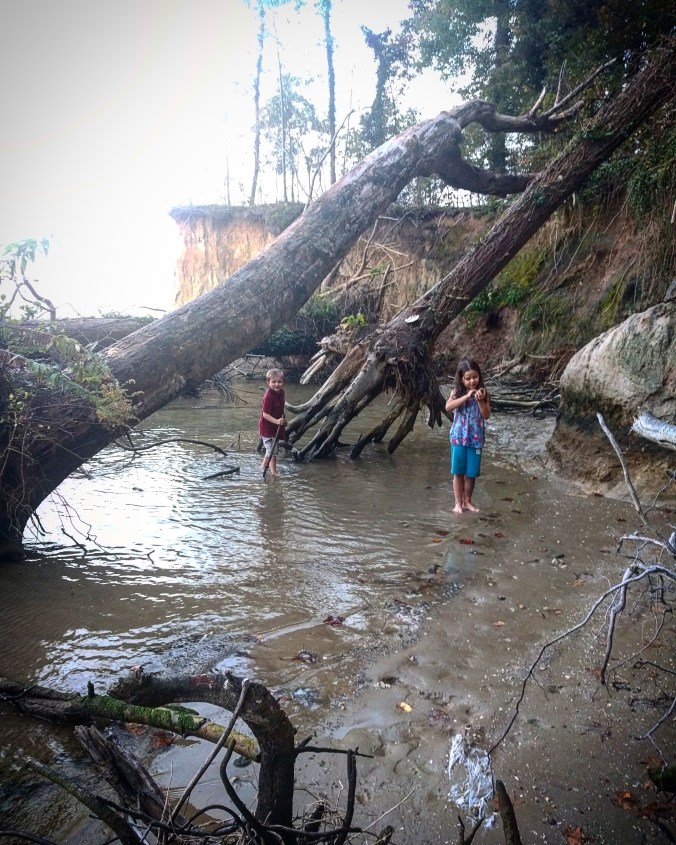 IMG_20171010_224111_002