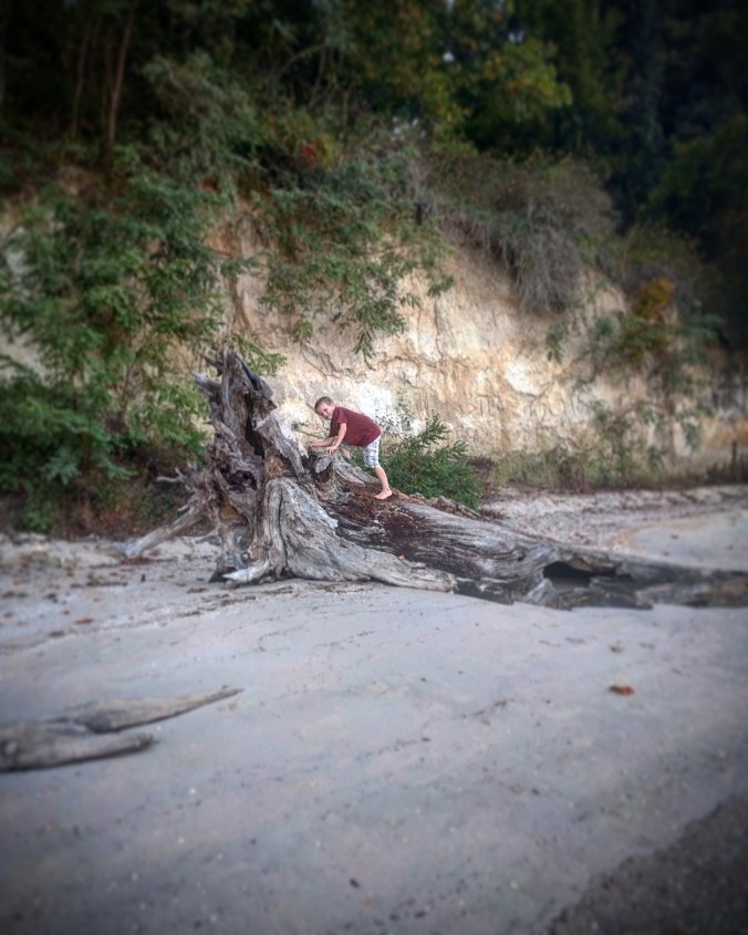 IMG_20171010_224211_101