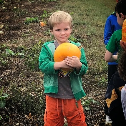 IMG_20171013_221642_005