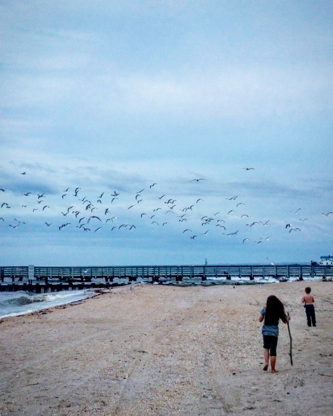 IMG_20171023_201732_318