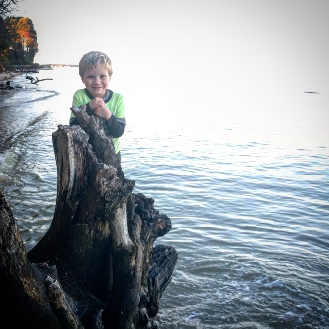 IMG_20171024_202618_235