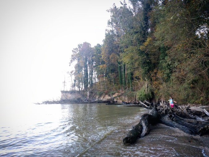 IMG_20171024_202718_865