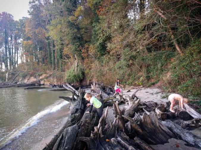 IMG_20171024_202854_002