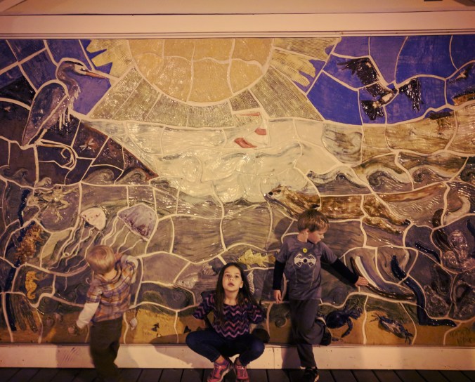 IMG_20171103_212005_441