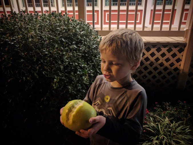 IMG_20171106_201434_386