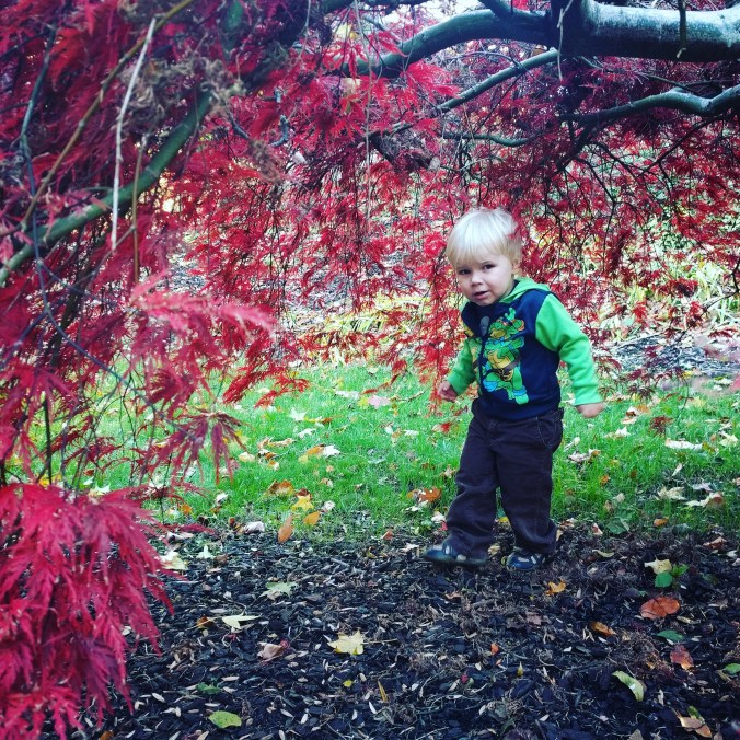 IMG_20171119_213416_199