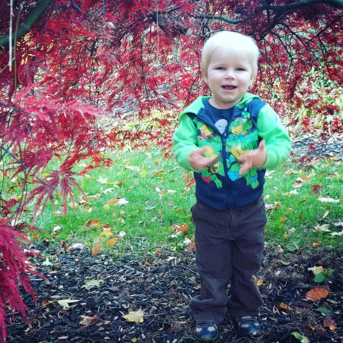 IMG_20171119_213506_293