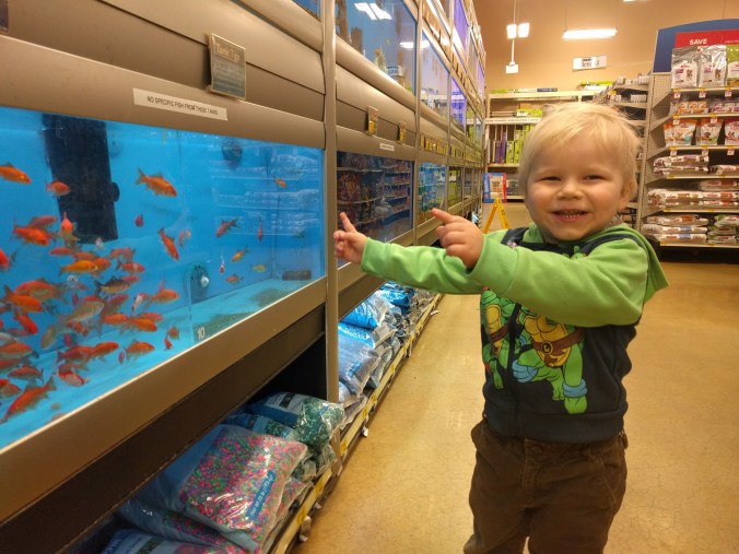 IMG_20171119_213807_588