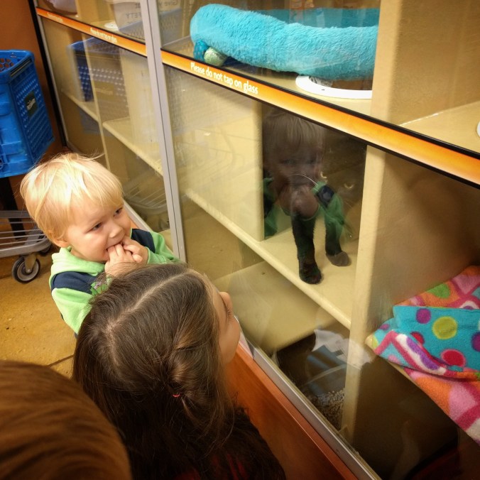 IMG_20171119_213924_505