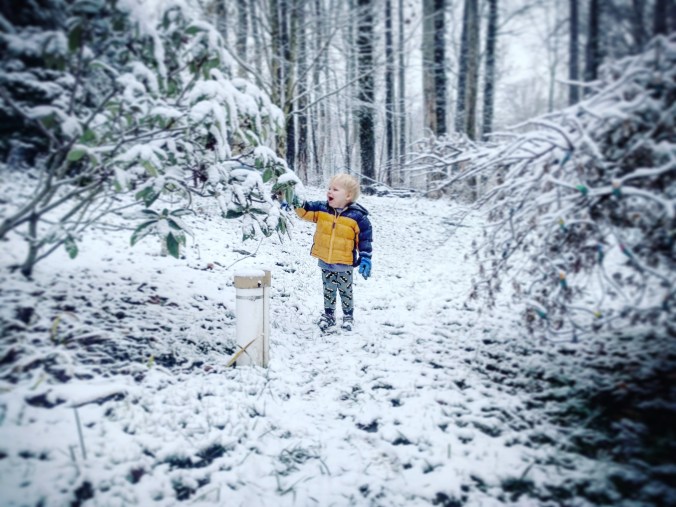 IMG_20171209_211156_476