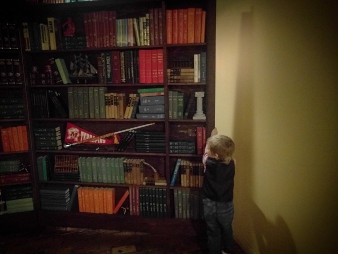 IMG_20171215_201145_347