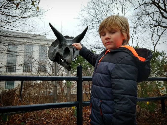 IMG_20180224_203913_139