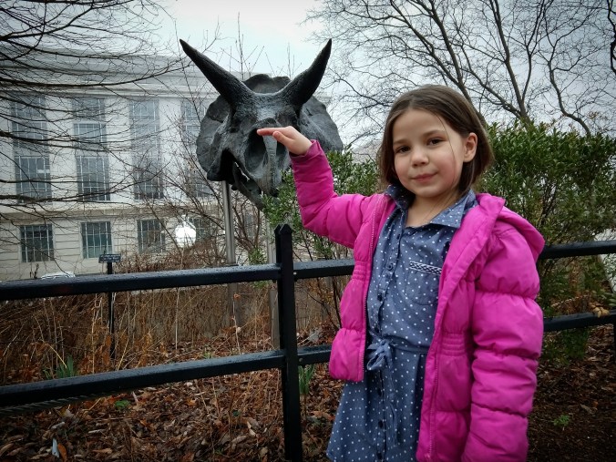 IMG_20180224_203950_636