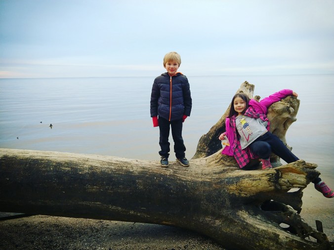 IMG_20180226_201703_131