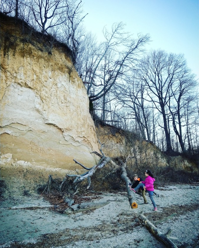 IMG_20180227_205443_298