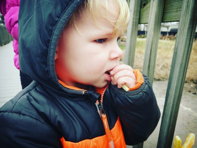 IMG_20180402_205840_169