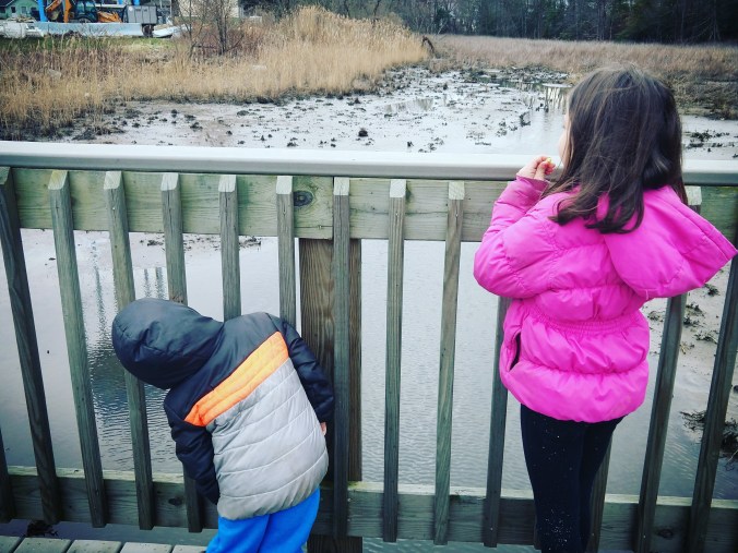 IMG_20180402_205920_817