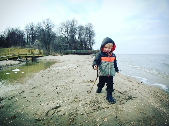 IMG_20180403_201536_218