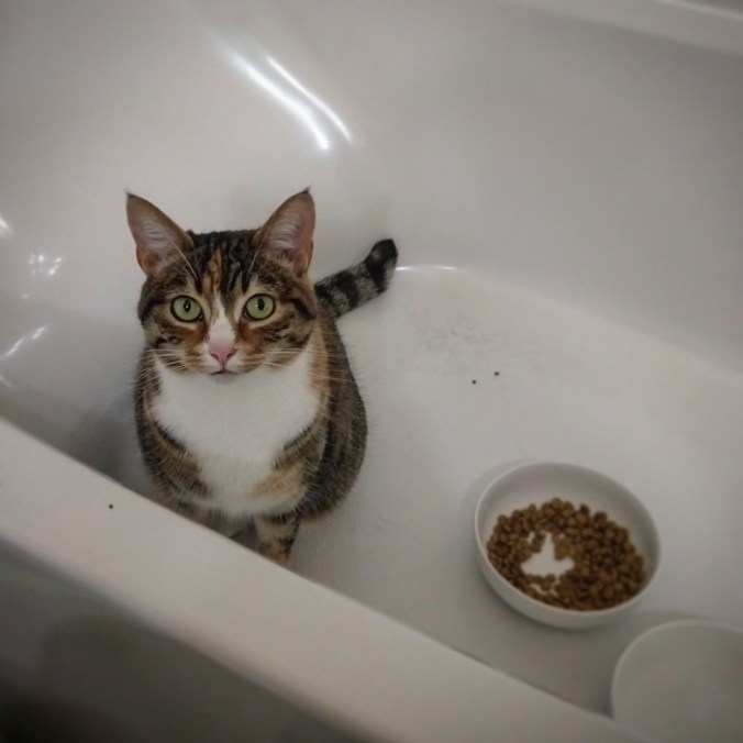 IMG_20180413_230111_836