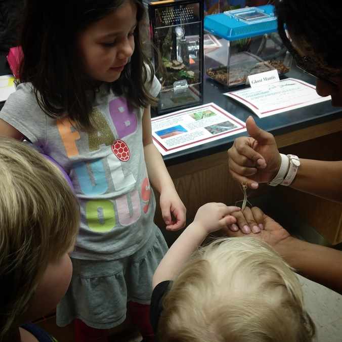 IMG_20180428_222316_641