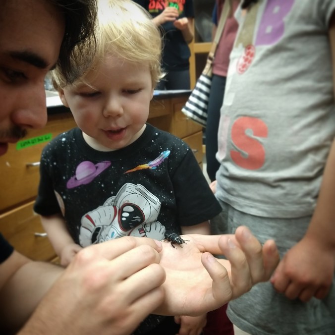 IMG_20180428_222359_443