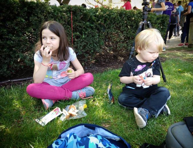 IMG_20180428_222655_199