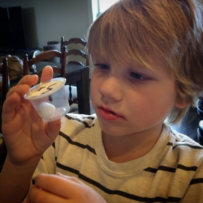 IMG_20180429_211944_136