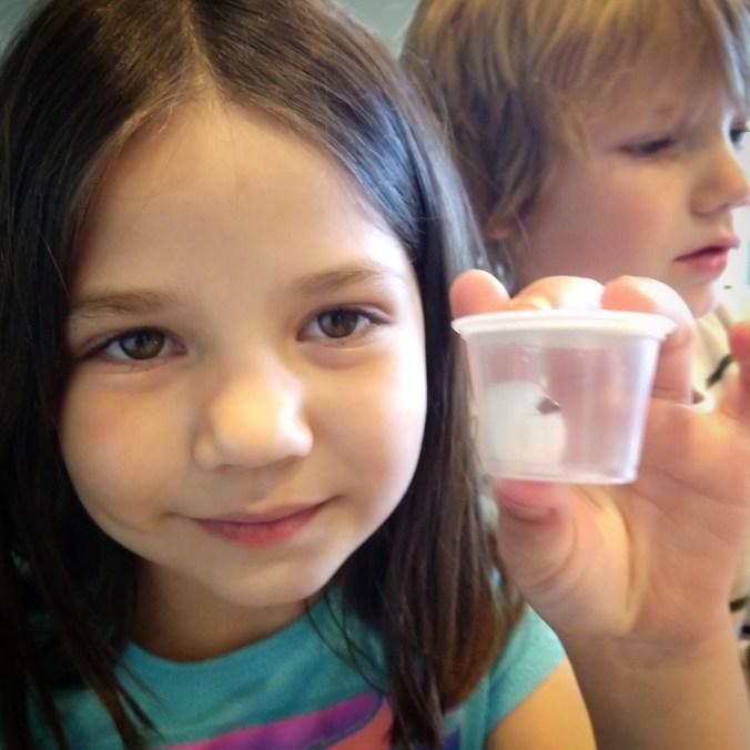 IMG_20180429_212031_675