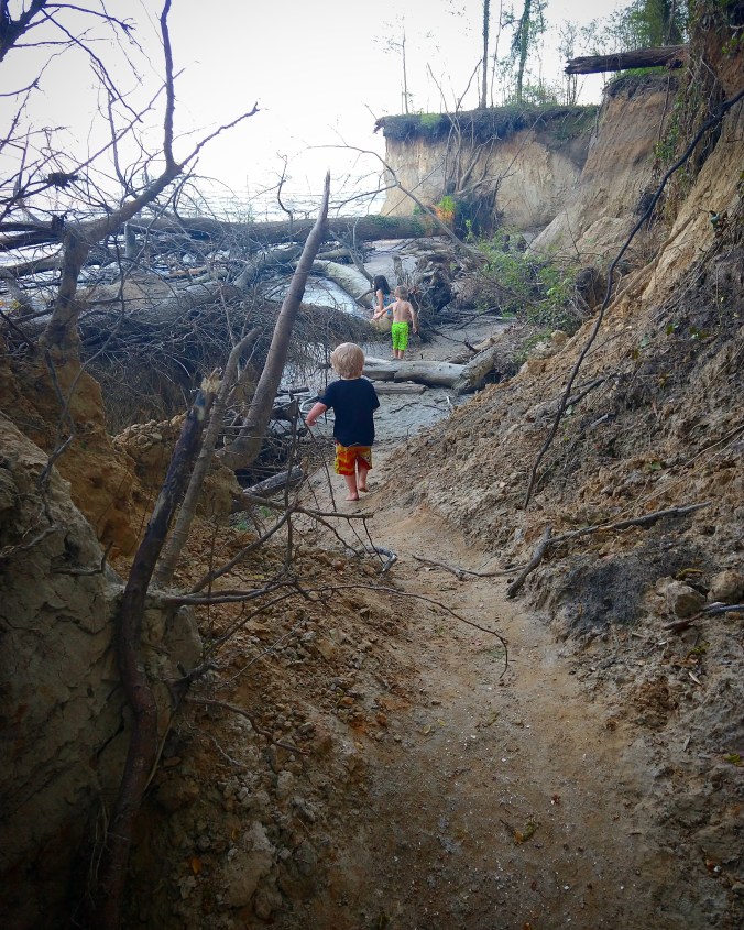 IMG_20180503_212242_599