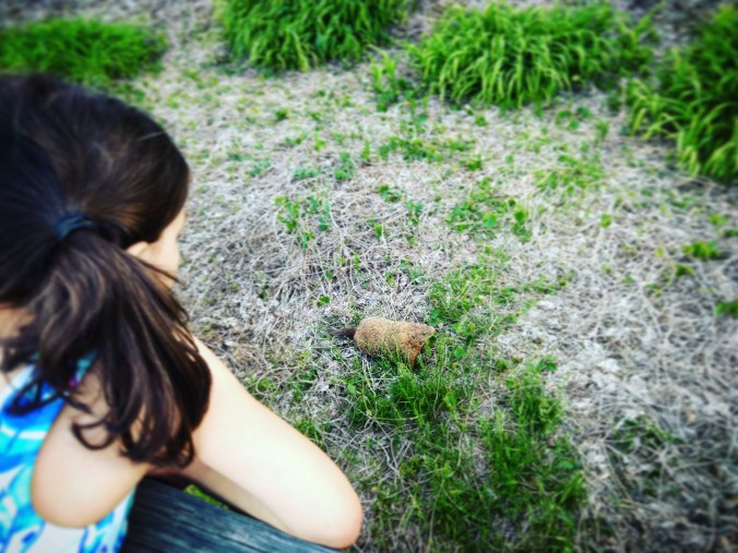 IMG_20180511_213724_730