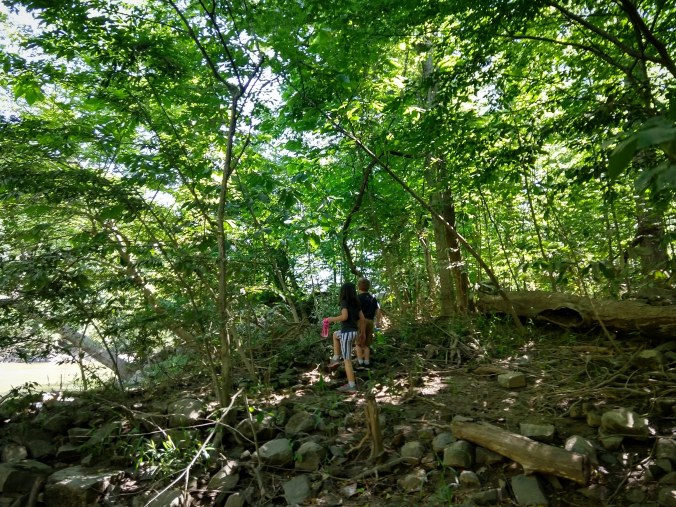 IMG_20180616_214633_561