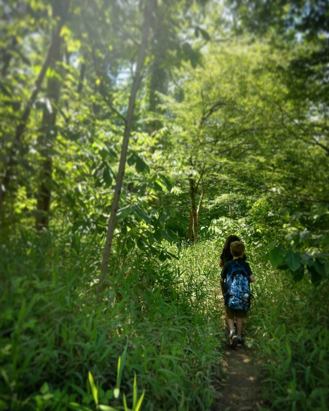 IMG_20180616_215225_262