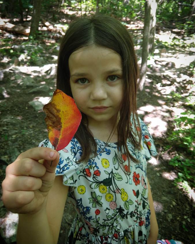 IMG_20180705_222608_863